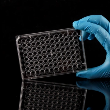 専用ページ ViewPlate-96, White 96-well Microplate with Clear Bottom